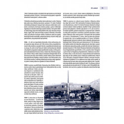 Railway accidents - traffic control and safety