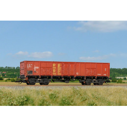 SDV Open wagon Eacs/Vase 10...