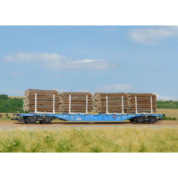 SDV Container wagon Sgnss...