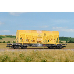 SDV Paoj 10 container wagon...