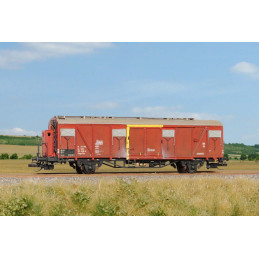 SDV Covered wagon Gbgs/Zts...