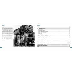 Milan Dušejovský – 60 years with a camera lens by the railroad tracks (a photographer's journey)