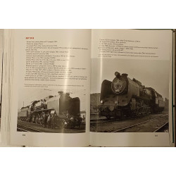 Mikáda - Lokomotivy řady 387.0