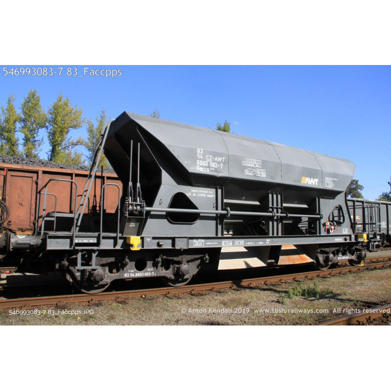 IGRA MODEL  Faccs AWT dump truck, 6th edition. TT